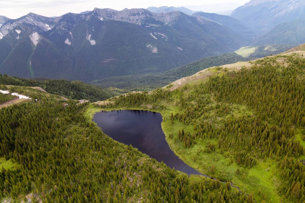 Historic 45,000-hectare land conservation buy confirmed for southeastern B.C.