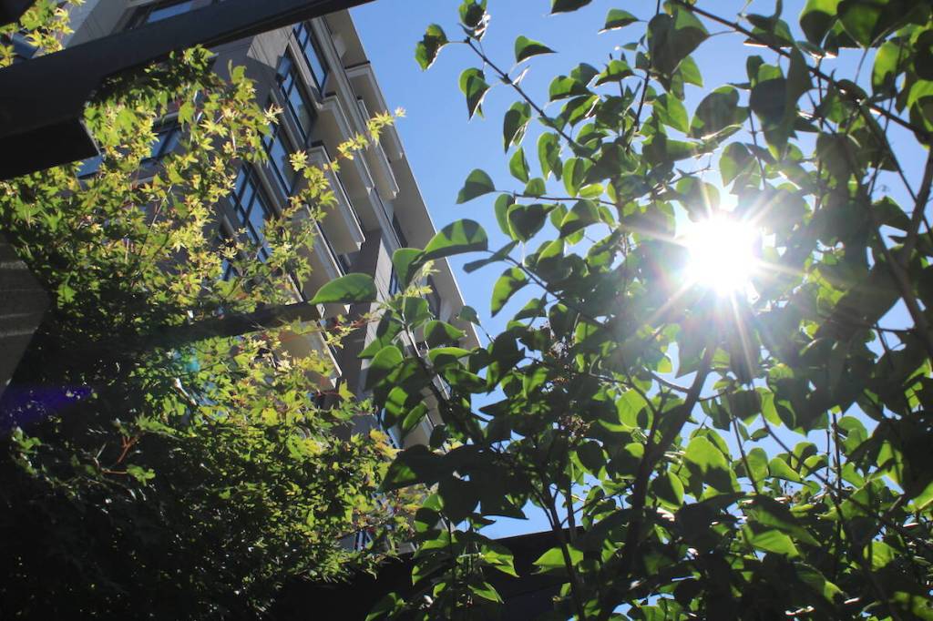 Environment Canada says B.C. should brace for one of the hottest years on record