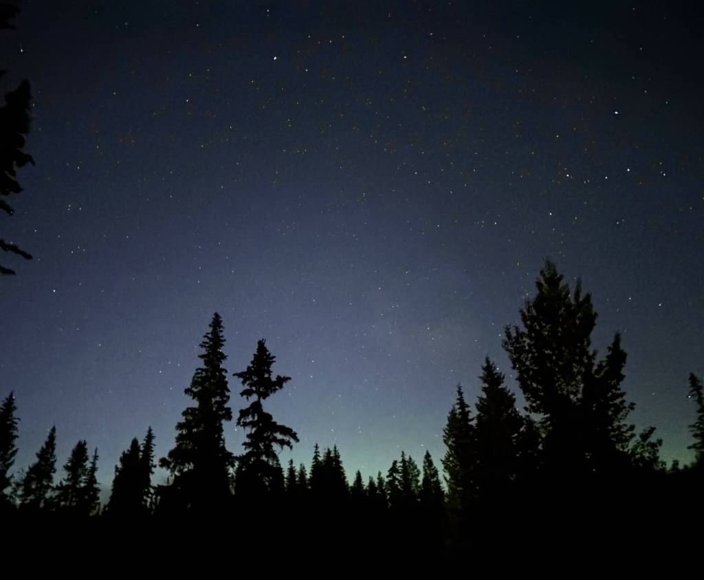 South Cariboo woman helps document 2025’s 1,052 Canadian UFO sightings - The Similkameen Spotlight